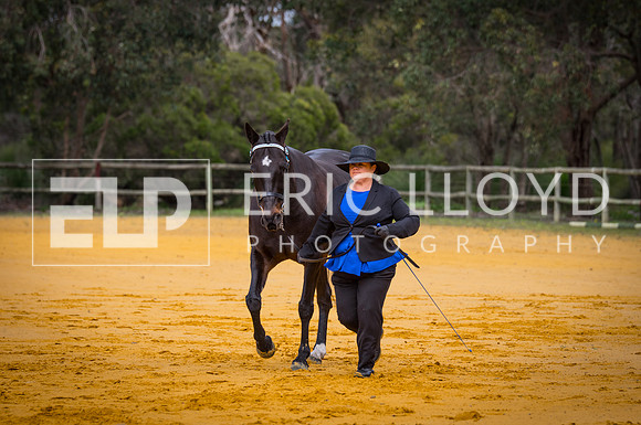 untitled-0969