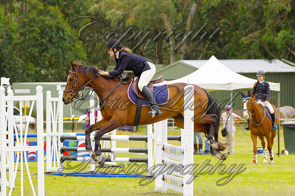 IMGP5947