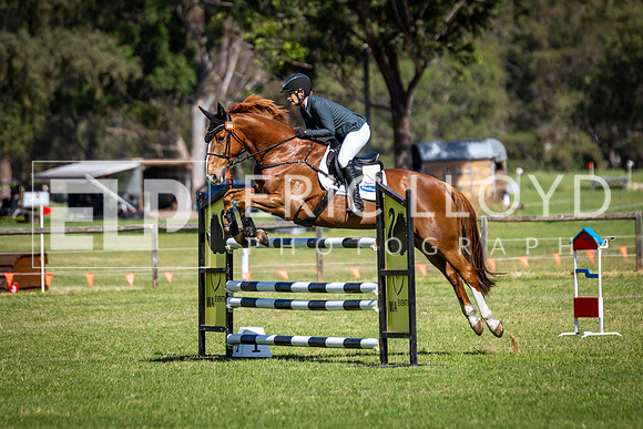 IMGP7305