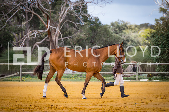 untitled-0554-2