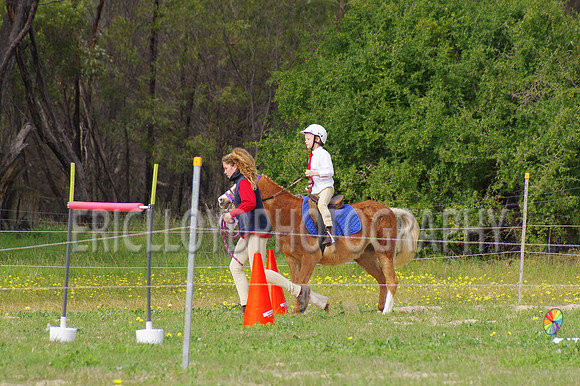 Bev Ag 2014-5106