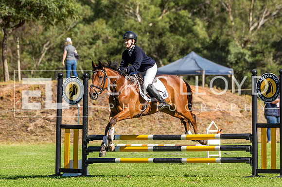 IMGP7593