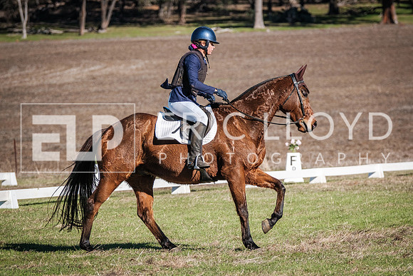 DSCF0738