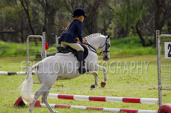 Bev Ag 2014-5099
