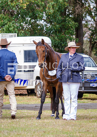 IMGP7805