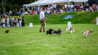 DSCF0228