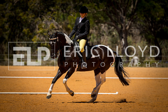untitled-0463