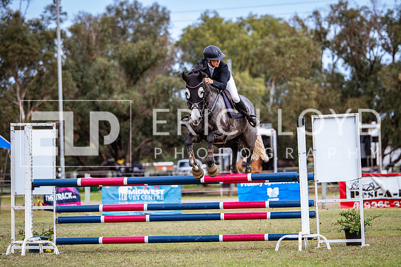 IMGP2587