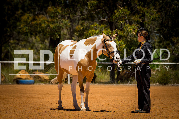 untitled-0190