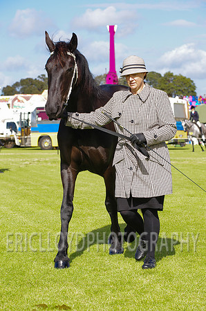 Jess-2399
