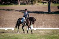 DSCF0373