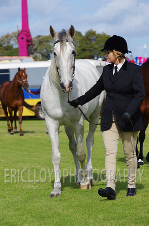 Jess-2402