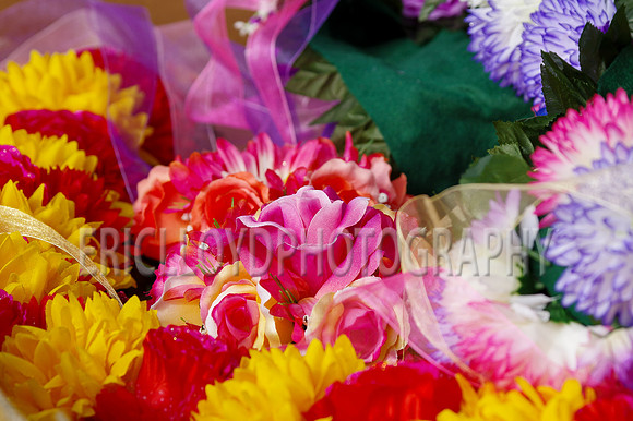 Bev Ag 2014-5096