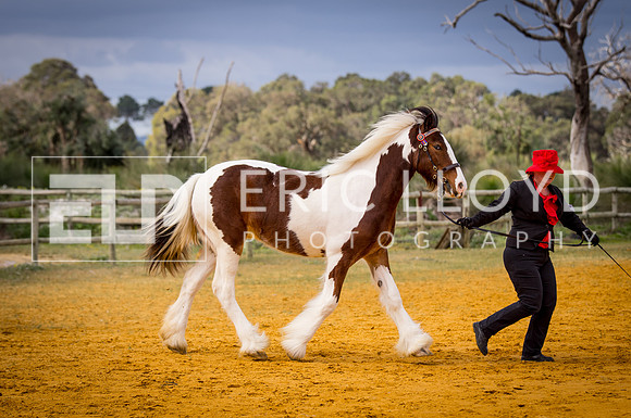 untitled-0746