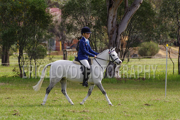 Bev Ag 2014-5116
