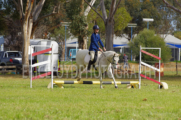Bev Ag 2014-5122
