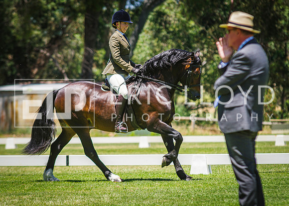IMGP9558