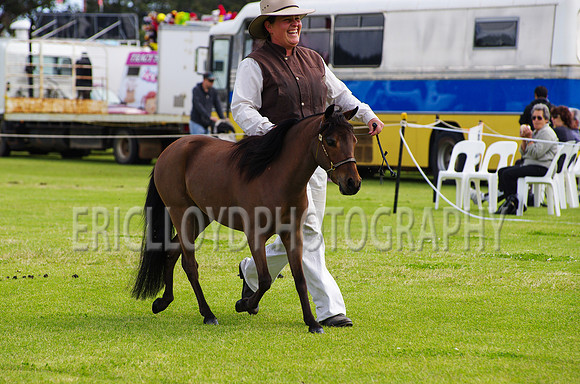 Jess-4428