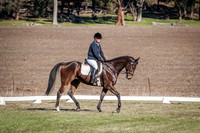 DSCF0371