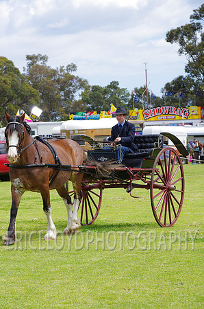 Jess-4145