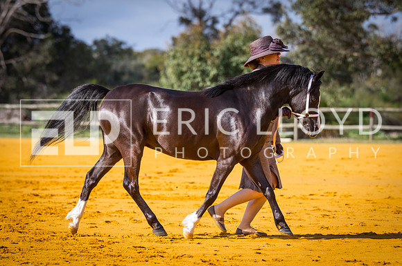 untitled-9631