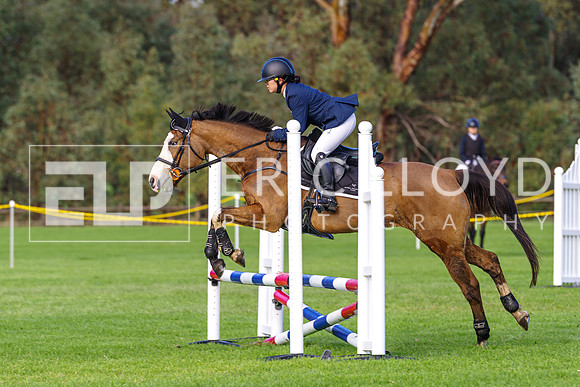 IMGP0296