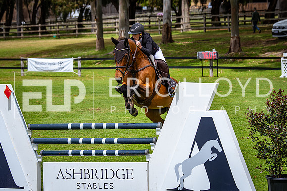 IMGP9237