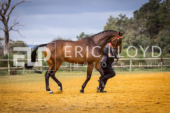 untitled-0690
