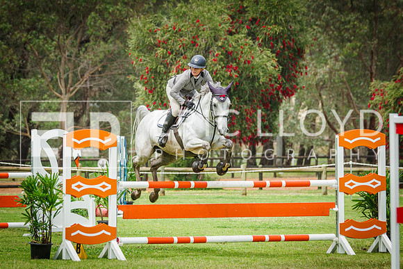 IMGP4875