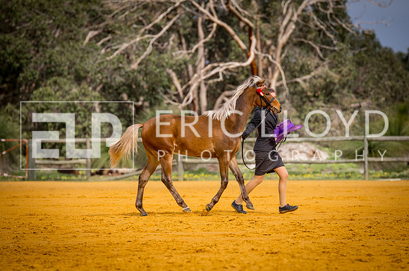 untitled-0649