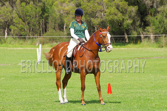 ARCA WH 2014-6596