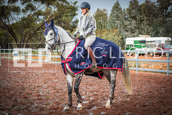 DSCF9221