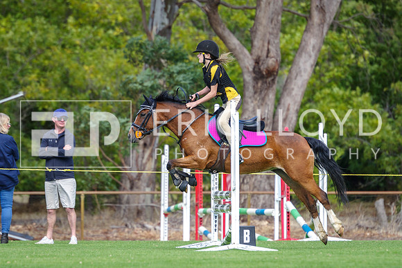 IMGP4229