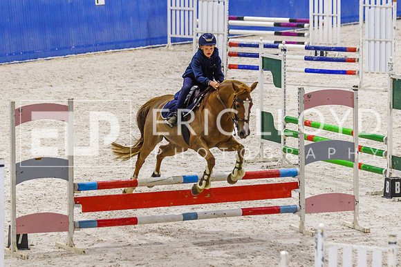 IMGP1454