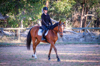 Flatwork - Intermediate & Advanced