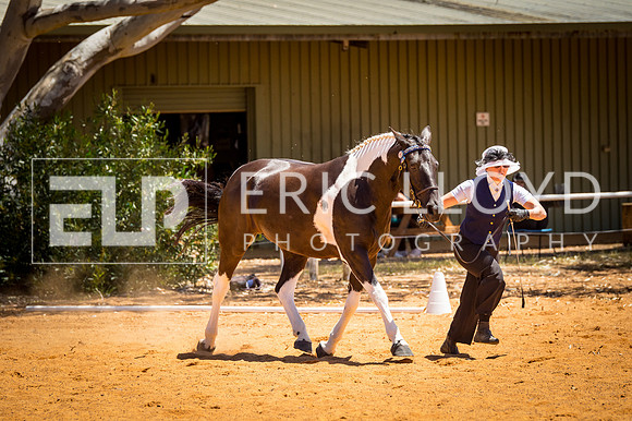 untitled-0255