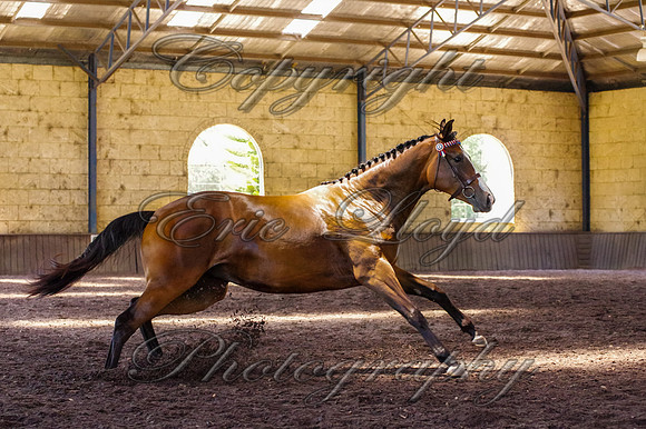 Brookleigh-9951