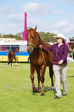 Jess-2406