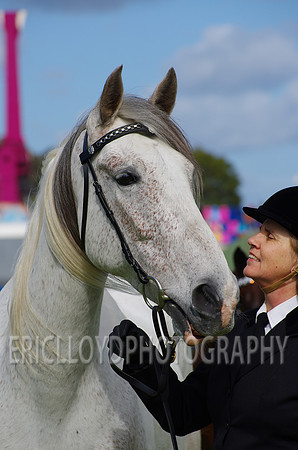 Jess-2444