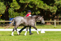 IMGP8166