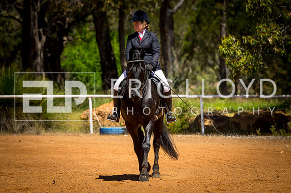 untitled-0372