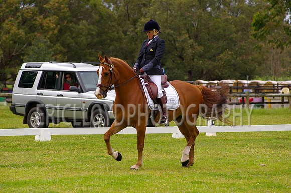 IMGP1398