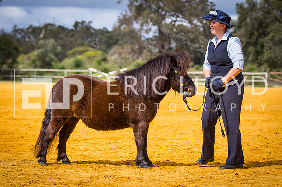 untitled-1254