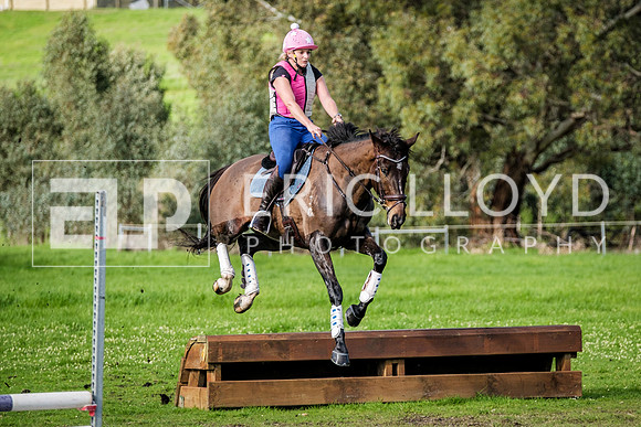 DSCF3699