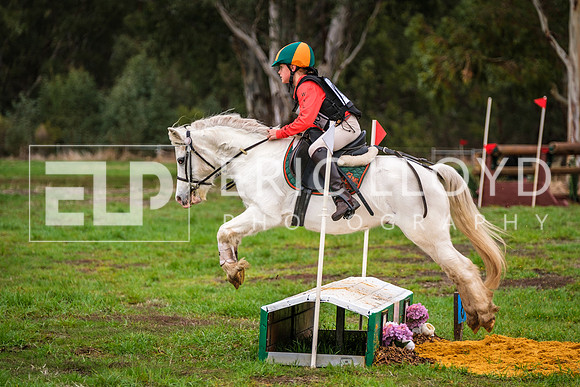 DSCF0747