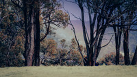 IMGP0037