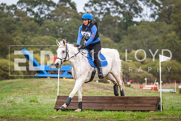 DSCF0600