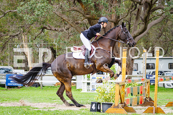 untitled-0661