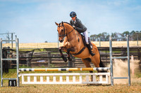 Showjumping