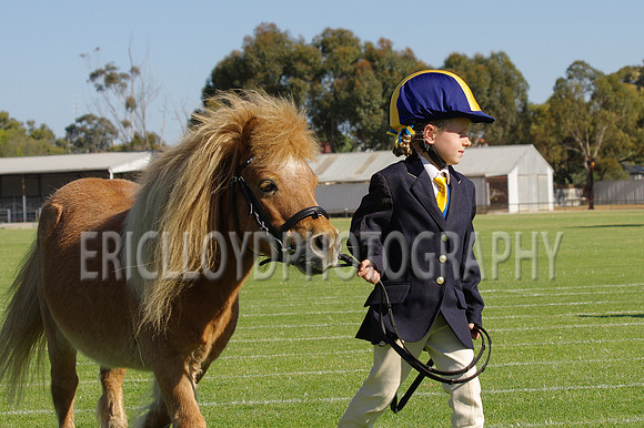 Beverley20 09 14-8028
